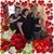 Debi Rademaker's profile image