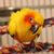 Sandy Weston's profile image