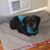 Sandy Templeton's profile image