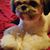 Tim Toups's profile image