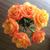 Naomi Denno's profile image