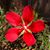 Laura Elwell's profile image