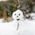 Mary Wessner's profile image