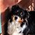 Jim Butler's profile image
