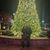 Samantha Treadway's profile image