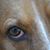 Mary B Lorey's profile image