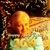 Dana Bell Creger's profile image
