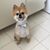 Nickie Musial's profile image