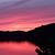 Stephanie Harris Busser's profile image