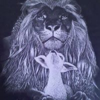 Jim Hoiriis's profile image