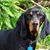 Mary Schoenhofer's profile image