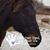 Janice Hamm's profile image