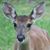 Eleanor Warmack's profile image