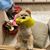 T Marie Tierney's profile image