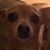 Wayne Foster's profile image