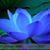 Pat Carbone-Martin's profile image