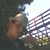 Juan Patricio Andana Andana's profile image