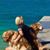 Amy Eckstein's profile image
