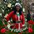 Vanessa Robinson Washington's profile image