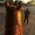 Miryam Mendez's profile image