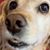 LeeAnne Lupien's profile image