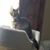 Linda Lillard's profile image