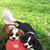 Donna Bradley's profile image