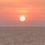 Maria Rovira's profile image