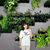 Li Ching's profile image