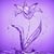 Barbara Powell's profile image