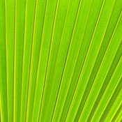 Kangaroo M.'s profile image