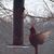 Marilyn Adams Nowicki's profile image