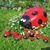 Julie Hickman Allen's profile image