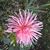 Kathy McCracken's profile image