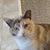Claire Landrum's profile image
