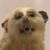 Iris Gallagher's profile image