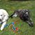 Shirley Romig's profile image