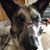 Deena Bowman's profile image