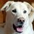 Mike Rathbun's profile image