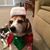 Keith Molly Hartzell's profile image