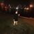 Natasha M Ruiz's profile image