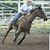 Vicki Ingram-Price's profile image