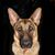 Wayne Souza Sr.'s profile image