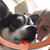 Marilyn Clement Ford's profile image
