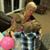Marilyn Campbell's profile image