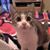 Diane Luck's profile image