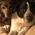 Roberta Reedy Kagey's profile image