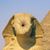 Billy CarefulSwimmer Rabbitt's profile image