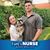Tara Costanzo's profile image