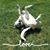 Samantha Maree Mathews's profile image